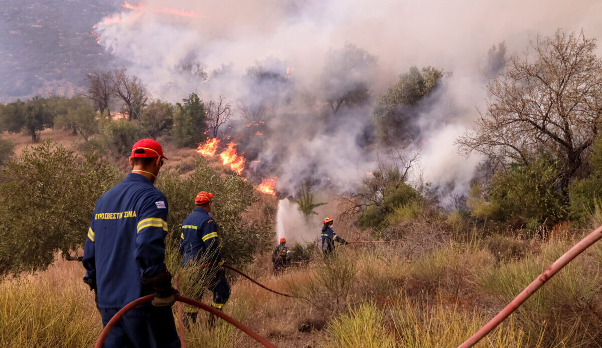 Φωτιά τώρα στην Αλυκή Βοιωτίας – Στη «μάχη» και εναέρια μέσα – Ήχησε το 112