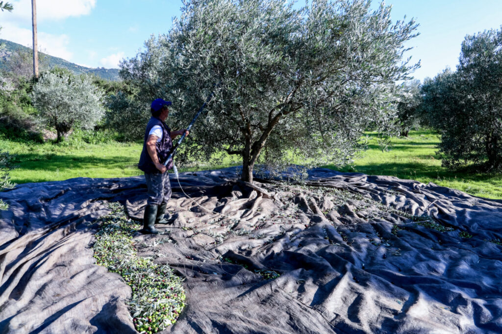 Κ. Τσιάρας για ΟΠΕΚΕΠΕ: «Προτεραιότητα να ανακτήσουμε τα χρήματα – Συνεργασία πολλών υπουργείων για την επιστροφή τους»
