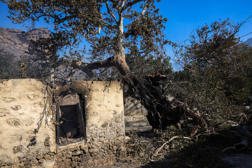Φωτιά τώρα στην Ιεράπετρα: Αναζωπυρώσεις σε διάσπαρτες εστίες – Ολική καταστροφή σε σπίτια, επιχειρήσεις και καλλιέργειες