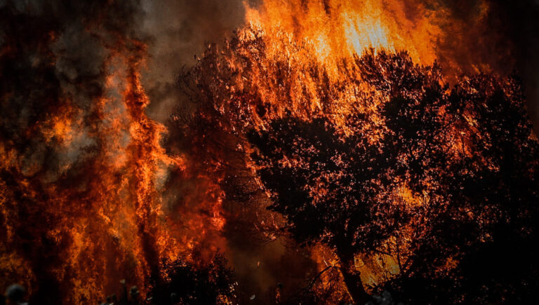 Πολύ υψηλός κίνδυνος πυρκαγιάς την Τρίτη σε Αττική – Ποιες άλλες περιφέρειες είναι στην κατηγορία κινδύνου 4