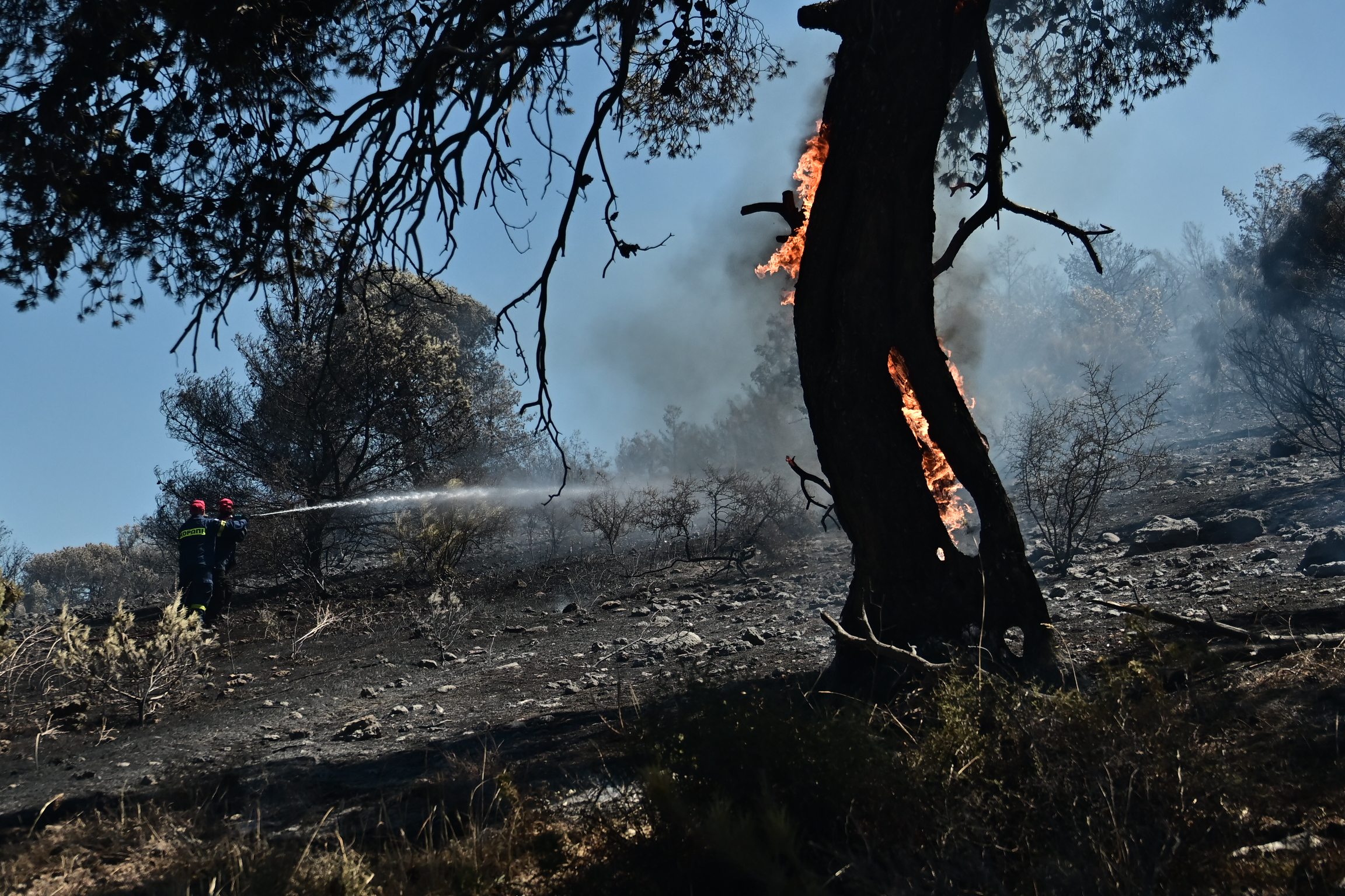 [378989] ΠΥΡΚΑΓΙΑ ΣΤΟΝ ΟΙΚΙΣΜΟ ΑΓΙΟΣ ΔΗΜΗΤΡΙΟΣ ΣΤΟ ΚΟΡΩΠΙ         (ΚΩΣΤΑΣ ΤΖΟΥΜΑΣ/EUROKINISSI)