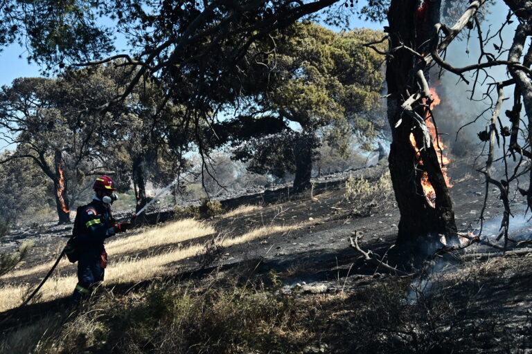 Οριοθετημένη η πυρκαγιά στο Κορωπί – Ζημιές σε σπίτια