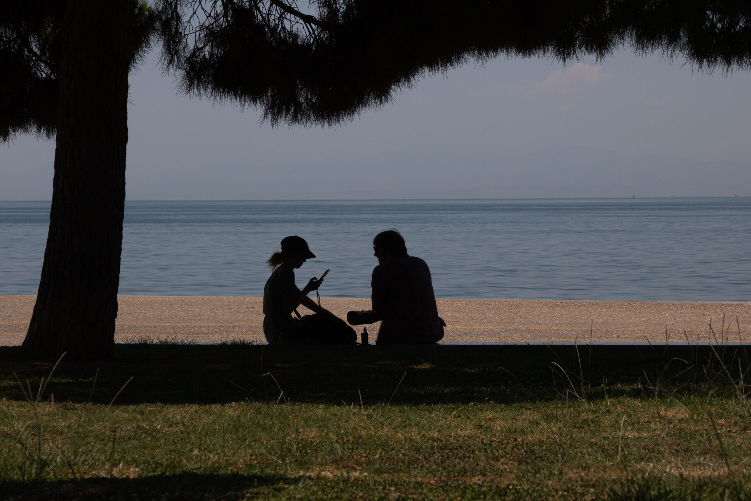 Καιρός: Ηλιοφάνεια και θερμοκρασίες-ρεκόρ σε πολλές περιοχές της χώρας – Πρόγνωση από την Α. Τυράσκη