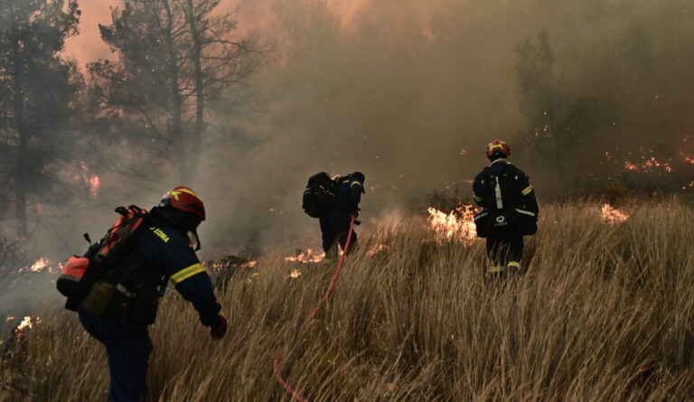 Πυροσβεστική: 41 αγροτοδασικές πυρκαγιές το τελευταίο 24ωρο σε όλη τη χώρα