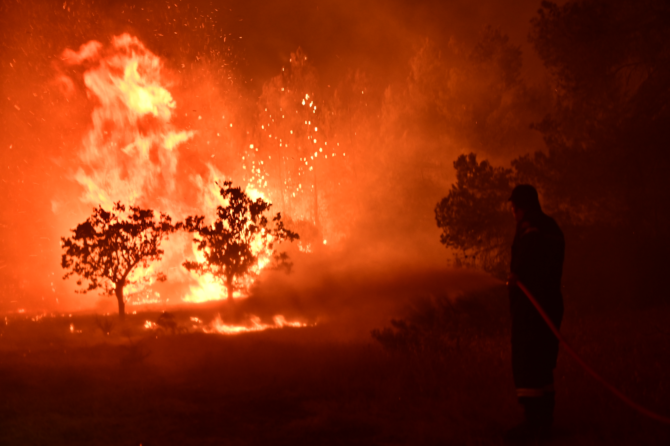 Φωτιά τώρα – Ωρωπός: Σκληρή μάχη με την μεγάλη πυρκαγιά ενώ βρίσκεται σε πλήρη εξέλιξη