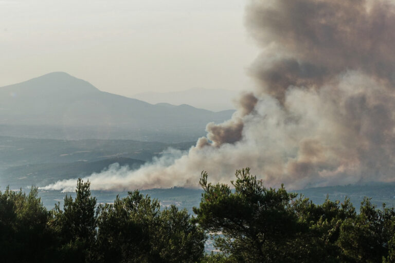 Σε ύφεση η πυρκαγιά στη Μεταμόρφωση Μολάων – Επιχειρούν επίγειες και εναέριες δυνάμεις στο ορεινό μέτωπο