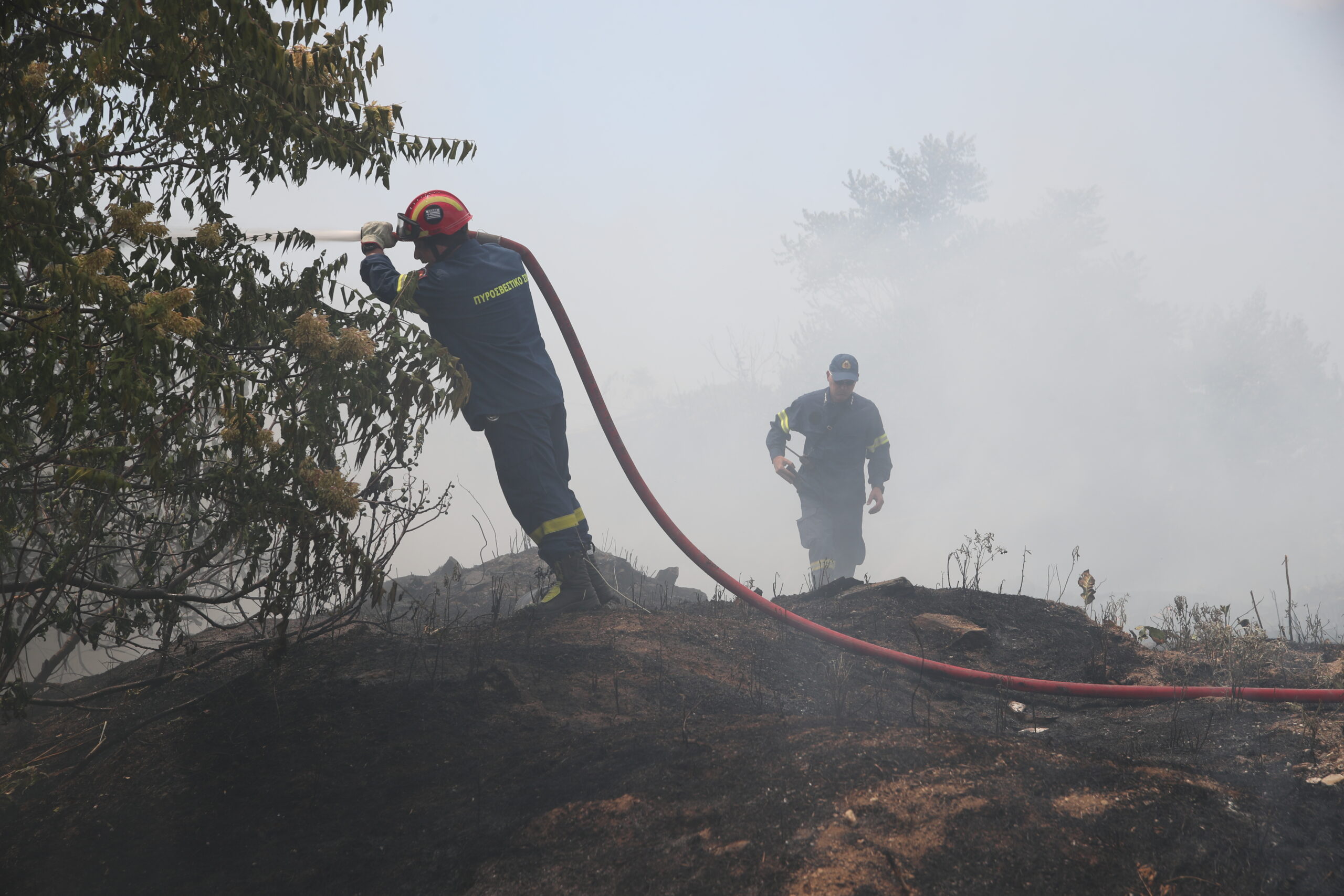 [379291] ΘΕΣΣΑΛΟΝΙΚΗ ΦΩΤΙΑ ΣΤΗ ΝΙΚΟΠΟΛΗ ΘΕΣΣΑΛΟΝΙΚΗ (ΒΑΣΙΛΗΣ ΒΕΡΒΕΡΙΔΗΣ /ΜΟΤΙΟΝΤΕΑΜ