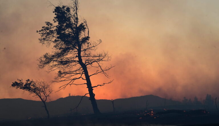 Πολύ υψηλός κίνδυνος πυρκαγιάς την Κυριακή (27/7) σε 11 Περιφέρειες της Ελλάδας – Οι περιοχές σε συναγερμό