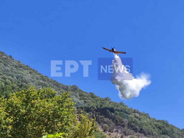 Πυρκαγιά τώρα στην Πάργα ανάμεσα στα χωριά Σκεπαστό και Νάρκισσο