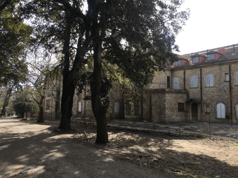 ΥΠΠΟ: Αναβίωση της ιστορίας και της φύσης στο Τατόι – Εικόνες από το έργο ανασύνταξης του περιβάλλοντος χώρου