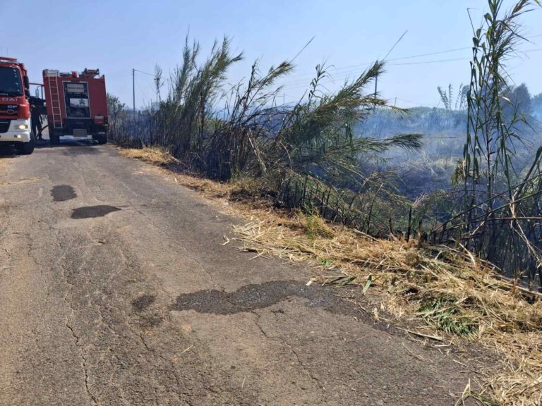 Καλαμάτα: Υπό έλεγχο η φωτιά στην Ασπροπουλιά  – Πολύ υψηλός κίνδυνος για πυρκαγιές αύριο στη Μεσσηνία