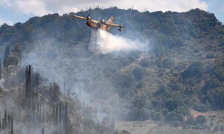 Bόλος: Υπό πλήρη έλεγχο η φωτιά στην Κερασιά