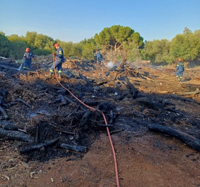 Κέρκυρα: Περίπου 500 τ.μ. έκαψε η φωτιά στο Βίδο – Ικανοποίηση για το σύστημα πυροπροστασίας στο νησί