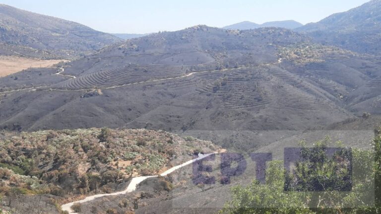 Χίος: Κοινή σύσκεψη φορέων από Εργατικό Κέντρο και ΝΤ ΑΔΕΔΥ για την επόμενη ημέρα από την πυρκαγιά