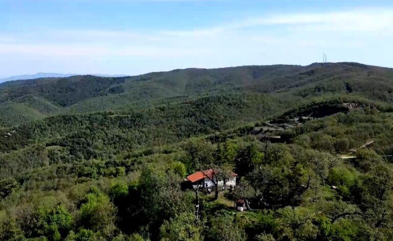 Απαγορεύεται η είσοδος σε δασικές εκτάσεις για την αποφυγή πυρκαγιών – Σε επιφυλακή οι Αρχές