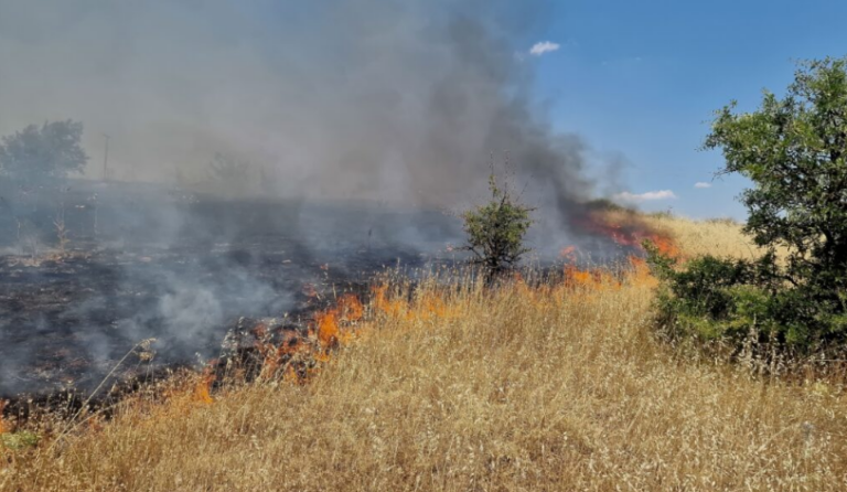 Φωτιά τώρα στο Κιλκίς – Σε εξέλιξη τέσσερα μέτωπα: Καλύτερη η εικόνα της φωτιάς στη Δοϊράνη – Ελεγχόμενη στην Αξιούπολη