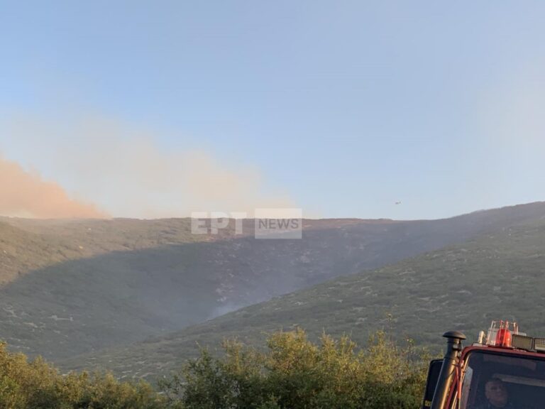Φωτιά τώρα – Φάρσαλα: Ελεγχόμενη η πυρκαγιά – Εκκενώθηκε οικισμός