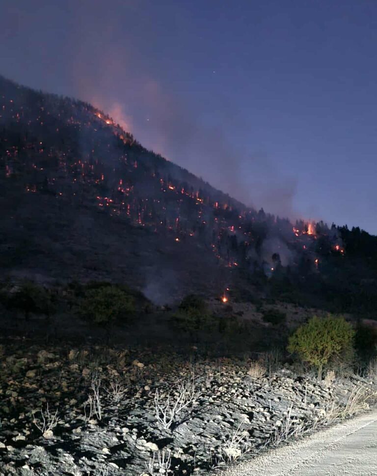 Καλύτερη η εικόνα της πυρκαγιάς στον Φενεό Κορινθίας μετά την απογευματινή αναζωπύρωση – Επιχειρούν επίγειες πυροσβεστικές δυνάμεις