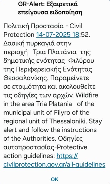 Φωτιά στο Φίλυρο Θεσσαλονίκης – Ήχησε το 112, επιχειρούν επτά εναέρια μέσα