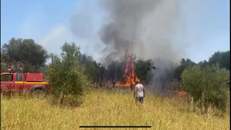 Σε ύφεση η πυρκαγιά στον Νερόμυλο Μεσσηνίας – Απείλησε τα πρώτα σπίτια, “112” για προληπτική εκκένωση