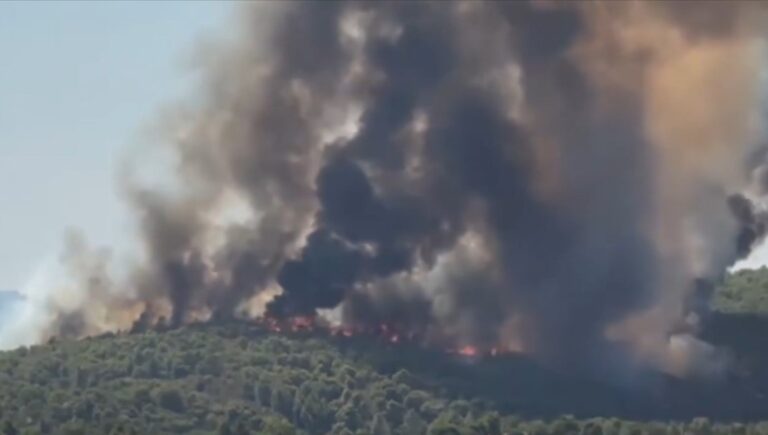 Σε ύφεση η πυρκαγιά στη Βουρβουρού Χαλκιδικής – Παραμένουν ισχυρές πυροσβεστικές δυνάμεις