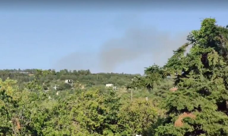 Υπό μερικό έλεγχο η φωτιά στο Φίλυρο Θεσσαλονίκης