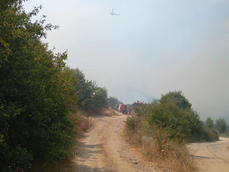Υπό έλεγχο η φωτιά στη Φλώρινα – Σε επιφυλακή οι πυροσβεστικές δυνάμεις