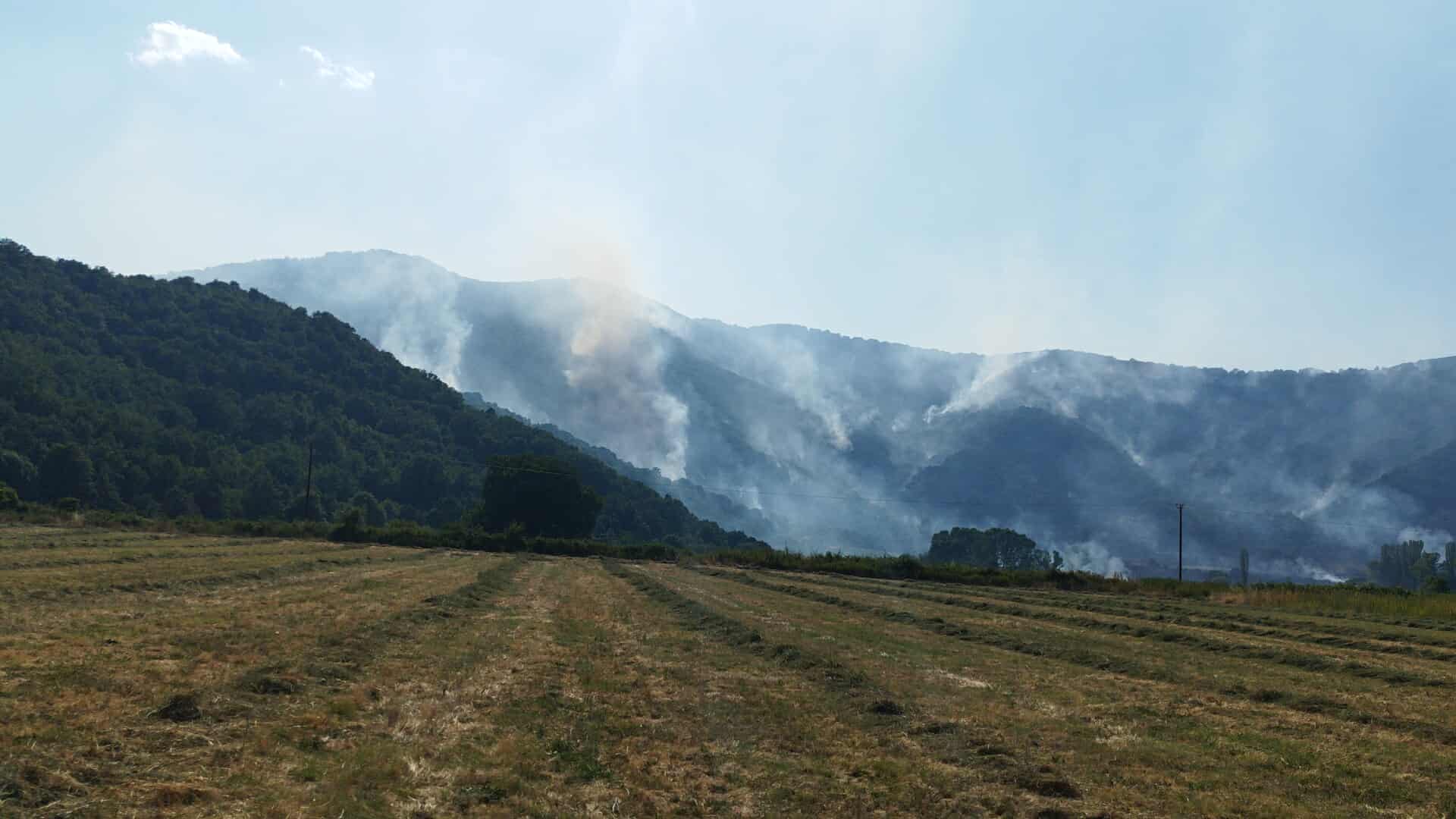 Σε εξέλιξη η πυρκαγιά στη Φλώρινα – Ενισχύονται οι πυροσβεστικές δυνάμεις