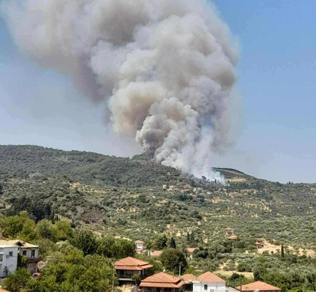 Μεσσηνία: Μεγάλη κινητοποίηση για φωτιά στην Πολυθέα Τριφυλίας