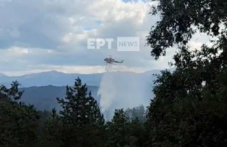 Υπό έλεγχο η πυρκαγιά στην Αλεβίτσα Νεστορίου – Σε επιφυλακή οι δυνάμεις της Πυροσβεστικής