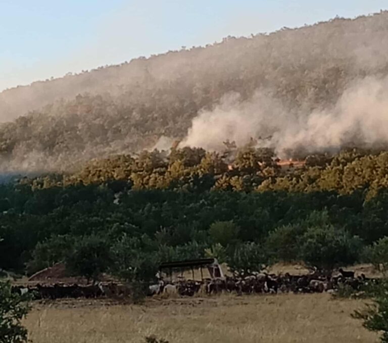 Κοζάνη: Oριοθετήθηκε η φωτιά στα Λιβερά