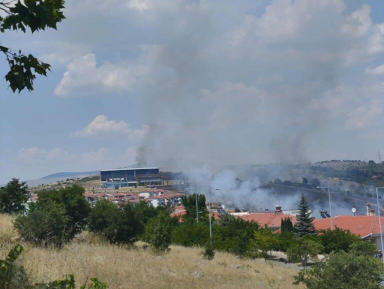 Κοζάνη: Υπό μερικό έλεγχο η φωτιά στην περιοχή Άργιλος