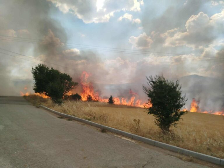 Νέα πυρκαγιά στην Κοζάνη – Καίει χορτολιβαδική έκταση στα Λιβερά