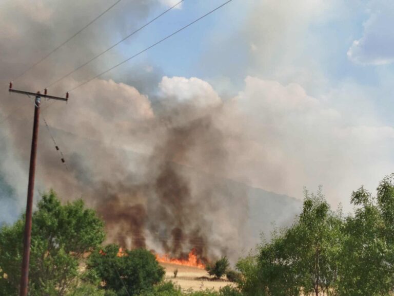 Υπό έλεγχο η πυρκαγιά στα Λιβερά Κοζάνης
