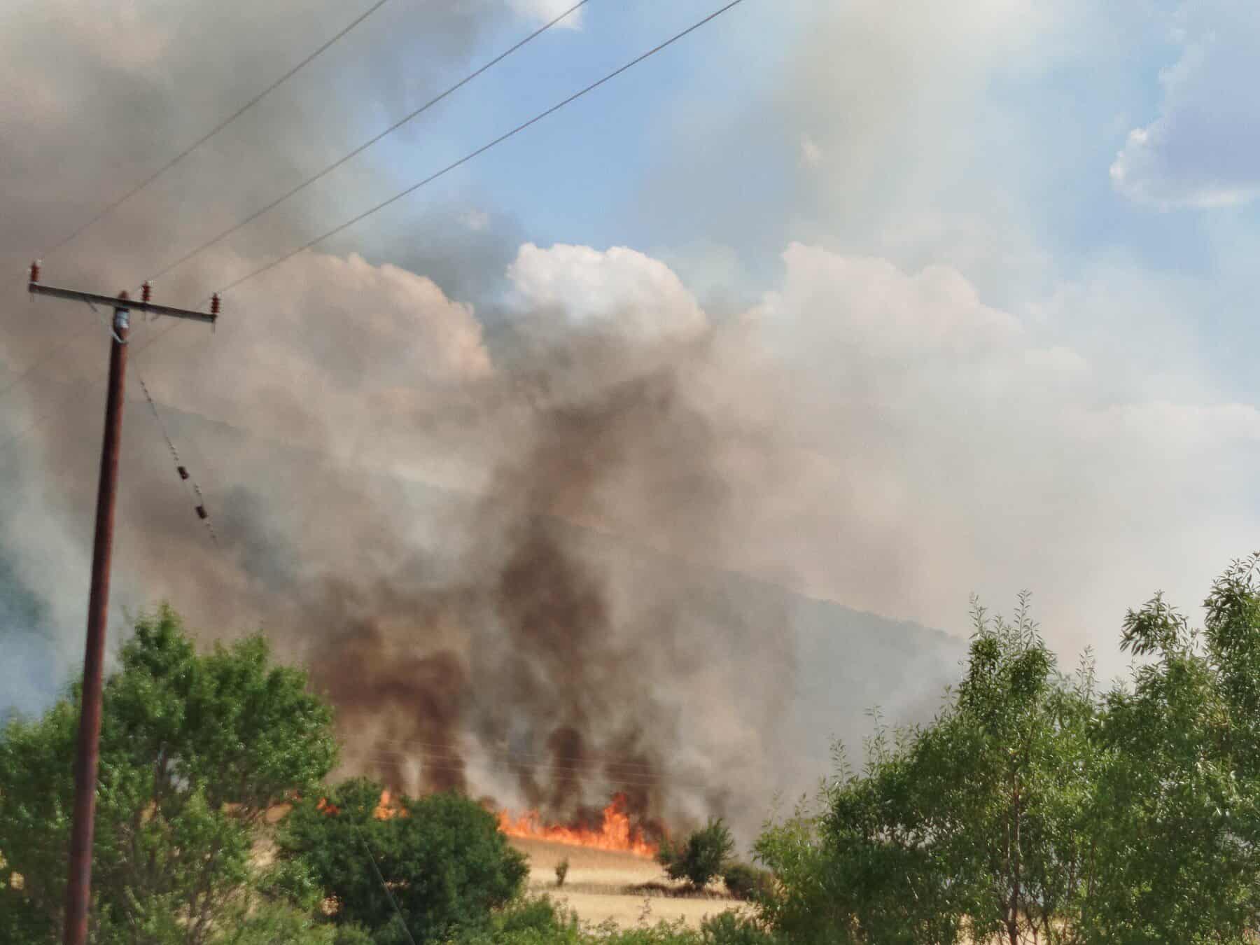 fotia-livera-kozani