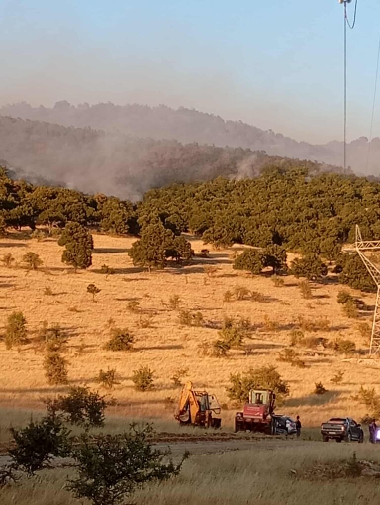 Καλύτερη η εικόνα της φωτιάς στα Λιβερά Κοζάνης