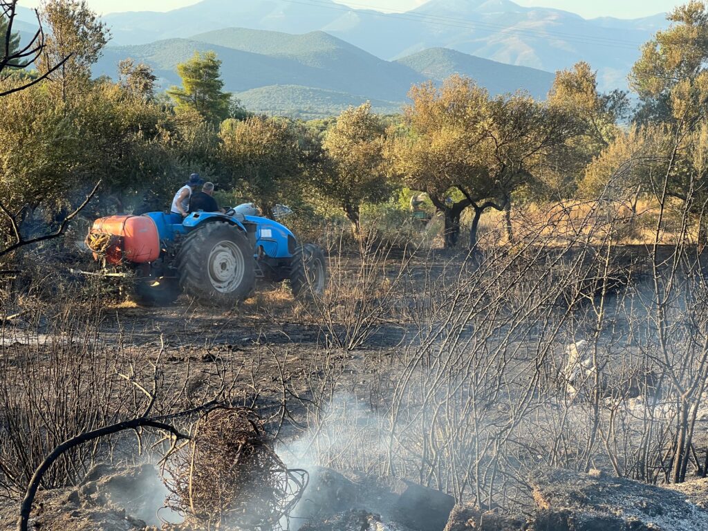 Μεσσηνία: Στάχτη 100 στρέμματα αγροτοδασικής έκτασης άφησε η φωτιά στο Νιοχώρι (φωτό)
