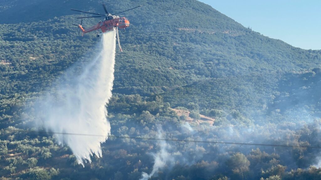 Μεσσηνία: Στάχτη 100 στρέμματα αγροτοδασικής έκτασης άφησε η φωτιά στο Νιοχώρι (φωτό)