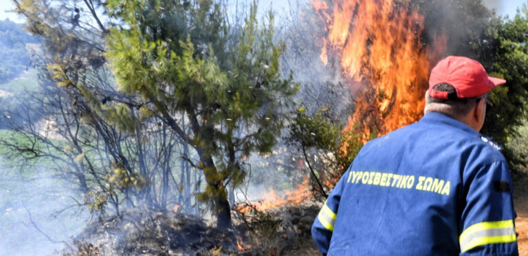 Πυρκαγιά τώρα σε δασική έκταση στο χωριό Κάμενα της Αρχαίας Ολυμπίας – Ρίψεις από αέρος
