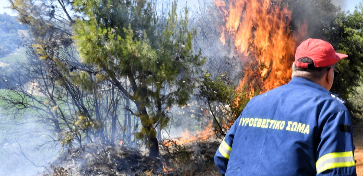 Πυρκαγιά τώρα σε δασική έκταση στο χωριό Κάμενα της Αρχαίας Ολυμπίας – Ρίψεις από αέρος