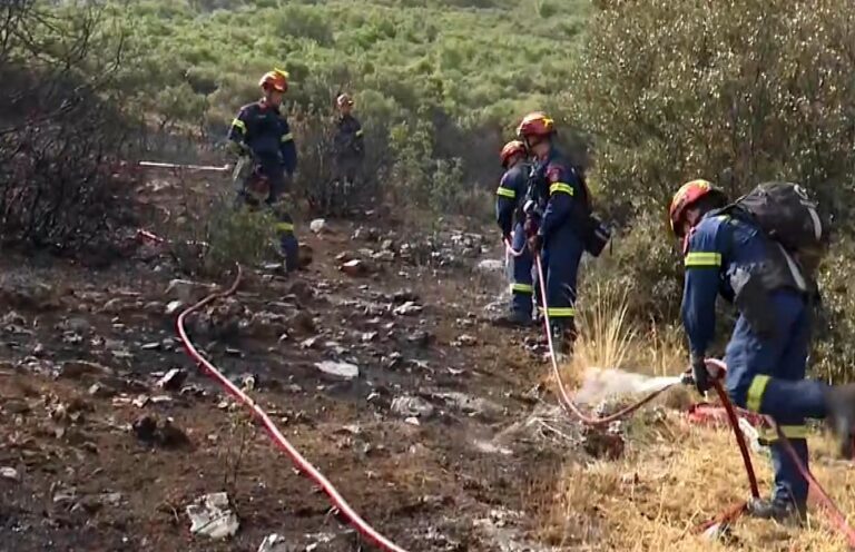 Ωραιόκαστρο: Ισχυρές δυνάμεις της Πυροσβεστικής παραμένουν στην περιοχή για την αποφυγή αναζωπύρωσης