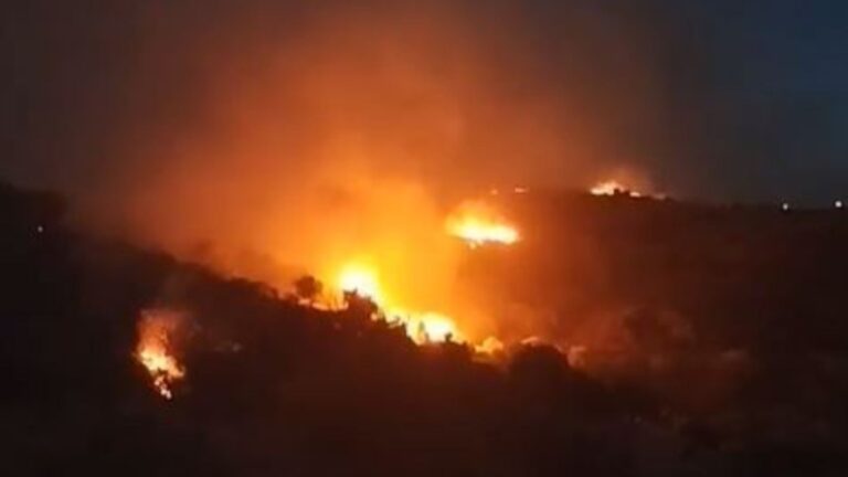 Φωτιά τώρα στα Μεσοχώρια Ευβοίας: Ολονύκτια μάχη με τις φλόγες – Επιχειρούν ισχυρές δυνάμεις της πυροσβεστικής
