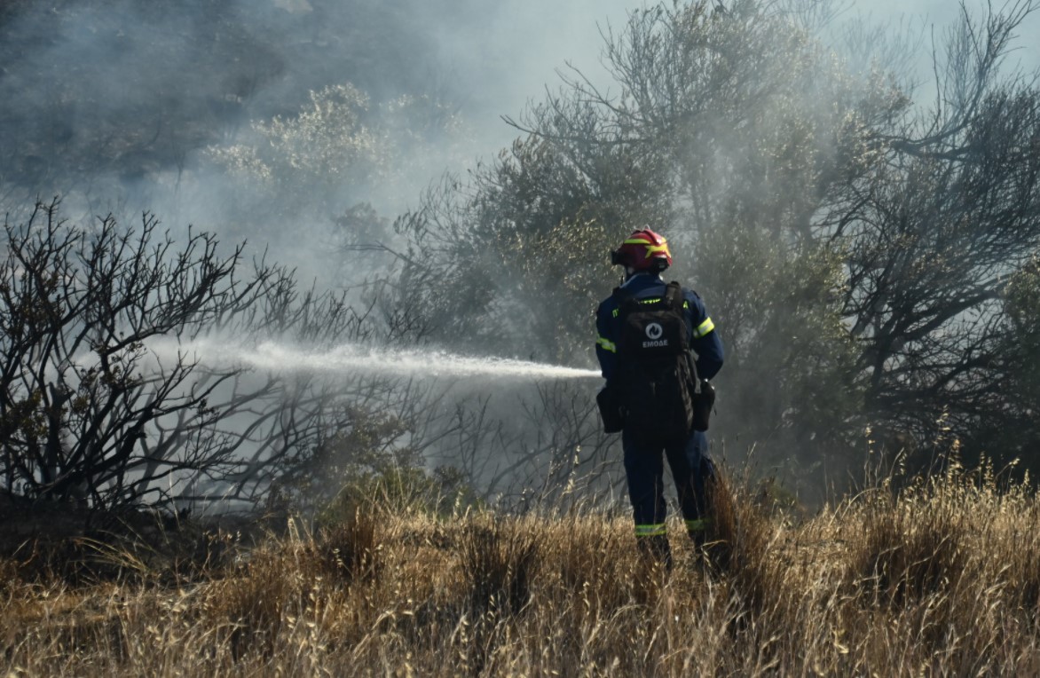 Φωτιά σε δασική έκταση στη Βουρβουρού Χαλκιδικής – Ήχησε το 112