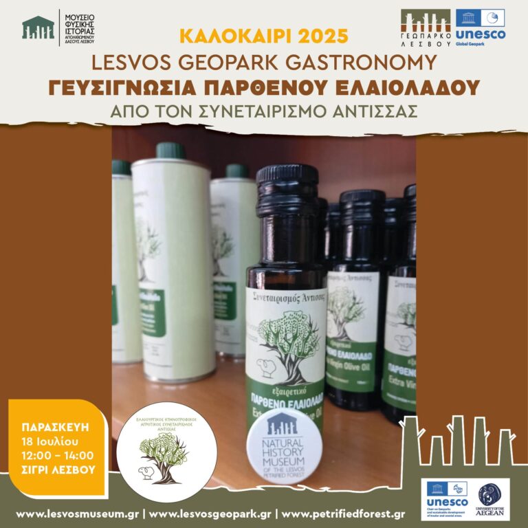 Λέσβος: Μετά τις χάχλες, γευσιγνωσία ελαιολάδου στο Σίγρι από τον Συνεταιρισμό Άντισσας