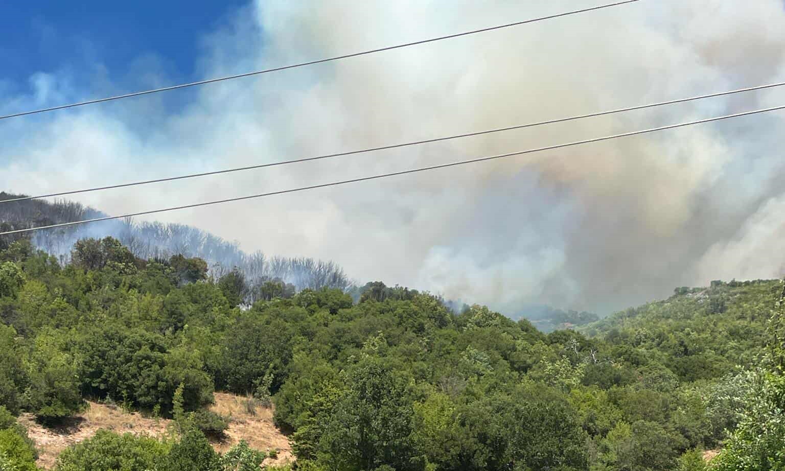grevena-deskati-fotia-1