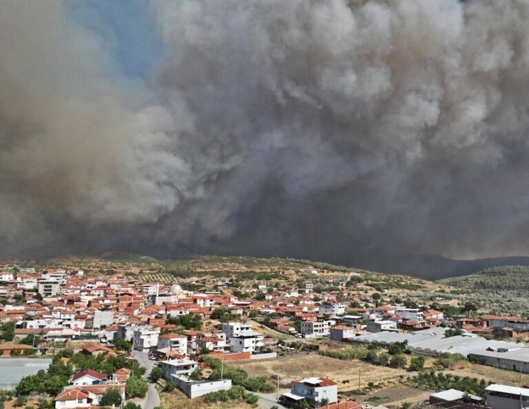 Πύρινα μέτωπα σε Σμύρνη, Χατάι και Άδανα – Πάνω από 30 συλλήψεις για εμπρησμό ανακοίνωσε ο Ταγίπ Ερντογάν