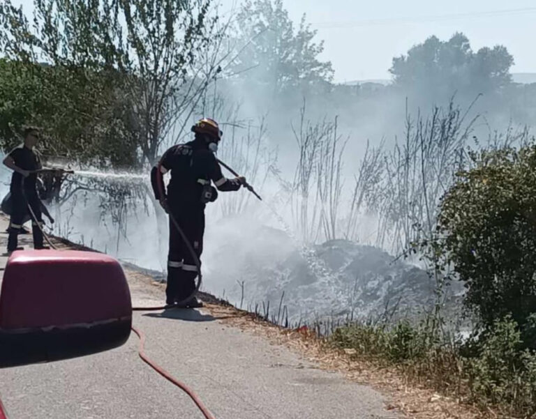 Μεσσηνία: Δύο φωτιές αντιμετωπίστηκαν άμεσα από την Πυροσβεστική και τους εθελοντές