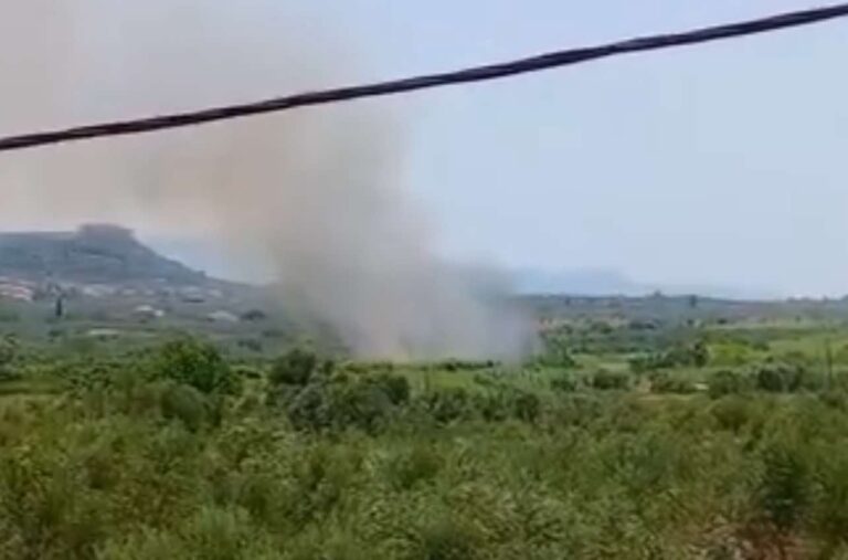 Καλαμάτα: Φωτιά σε αγροτοδασική έκταση στην Ασπροπουλιά (βίντεο)