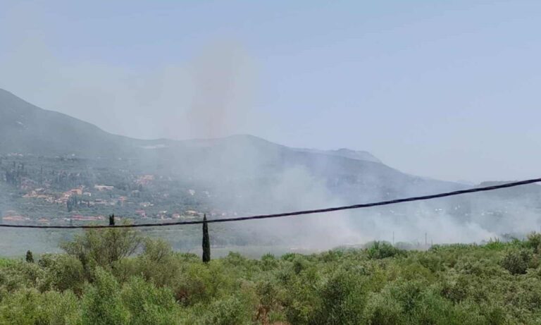 Οριοθετήθηκε η φωτιά στη Μεταμόρφωση Μεσσηνίας – Στάχτη 500 στρέμματα αγροτοδασικής έκτασης (βίντεο)