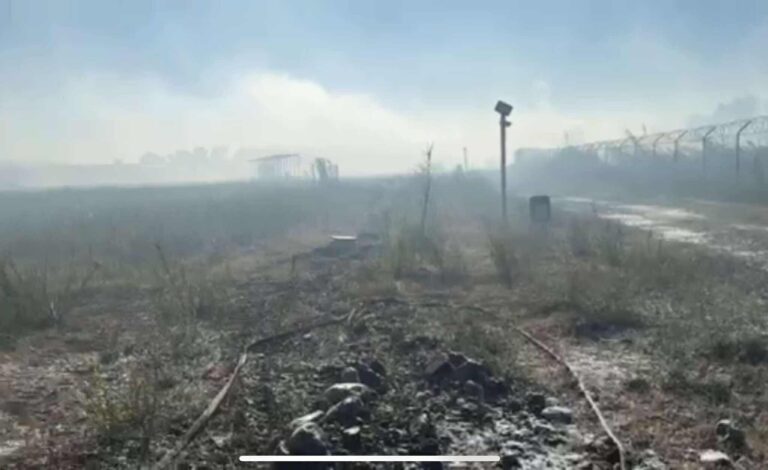 Καλαμάτα: Πυρκαγιά στη βόρεια πύλη του αεροδρομίου κοντά στη Μικρομάνη – Επιχειρούν εναέρια και επίγεια μέσα (βίντεο)
